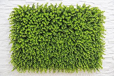 拉瑞安总监谈《博德之门3》最终补丁 游戏将保持活力